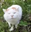 ANNYのプロフィール画像