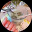 antyのプロフィール画像