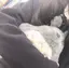 つきのプロフィール画像