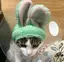 mikiのプロフィール画像