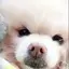みさきのプロフィール画像