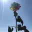 Nのプロフィール画像