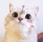 mのプロフィール画像
