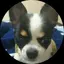 あつじゅりのプロフィール画像