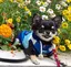 サトミンのプロフィール画像