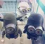 ちゃかのプロフィール画像