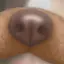 まりなのプロフィール画像