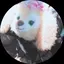すずぴのプロフィール画像