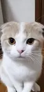 しょうのプロフィール画像