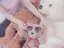 Sのプロフィール画像