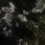 優空のプロフィール画像