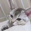 ゆうかのプロフィール画像