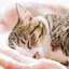 ふうのプロフィール画像
