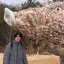 なべのプロフィール画像