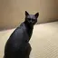 みのプロフィール画像