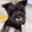 彩のプロフィール画像