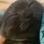 てゃんのプロフィール画像