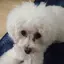 くるみのプロフィール画像