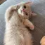 ゆなのプロフィール画像