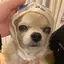 恵奈のプロフィール画像