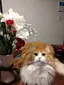 うきたむのプロフィール画像