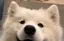 ころものプロフィール画像