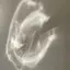 はちみつのプロフィール画像