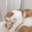 あやのプロフィール画像