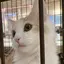 ゆうしんのプロフィール画像
