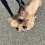 じゃむのプロフィール画像