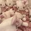 もちのプロフィール画像