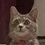 ゆめかのプロフィール画像