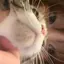 nのプロフィール画像