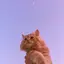 neeyaのプロフィール画像