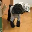 ドキンちゃんのプロフィール画像