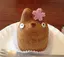 彩のプロフィール画像