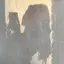 hazukiのプロフィール画像