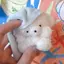 ゆいのプロフィール画像