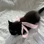 yulangのプロフィール画像