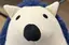 🧸のプロフィール画像