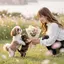TOMOMIのプロフィール画像