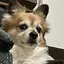 りんりんのプロフィール画像