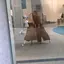 ちのプロフィール画像
