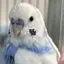 よねのプロフィール画像