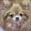 なつきのプロフィール画像