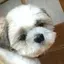 アランのプロフィール画像