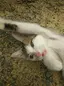 なおのプロフィール画像