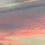 りんのプロフィール画像