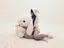 うりぺこのプロフィール画像