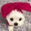 ミのプロフィール画像